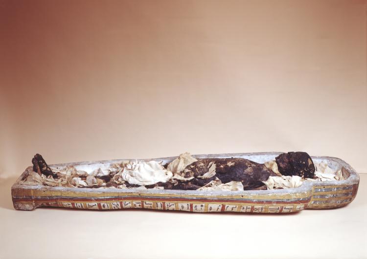 Ta-Kesh, Maidstone Museum's mummy, died around the age of 14. She was brought over to England in the 1820s.